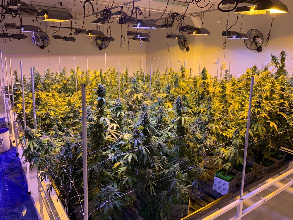 19 LSU Ag Center and Southern University Ag Center are the only entities to hold state licenses to produce medical marijuana.