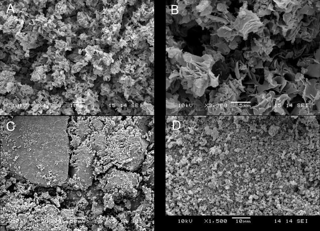 Figure S14: SEM microphotographs of UPy-PLA-OH