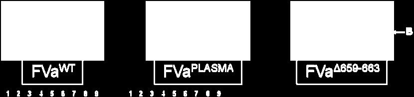 with factor Va WT ; panel B prothrombinase assembled with plasma-derived factor Va; panel C, prothrombinase assembled with factor Va