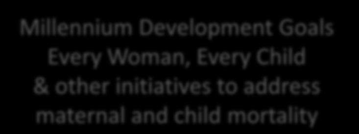 Goals Every Woman, Every Child & other initiatives to