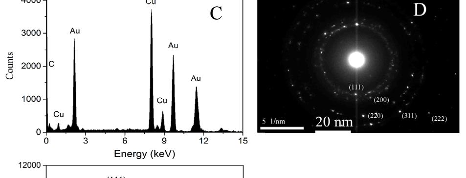(A) TEM images of AuNPs formed in aqueous solution of lipopolysaccharides. (B) HRTEM lattice-fringe fingerprinting of these AuNPs.