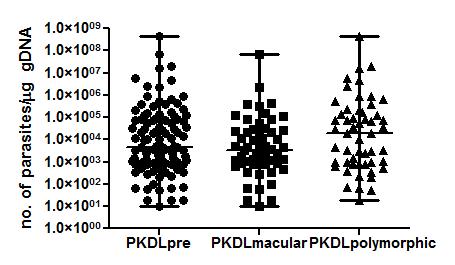 No. of parasites/µg of gdna Distribution of PKDL (n = 109) Active disease Macular Polymorphic n = 109 n = 56 n = 53 PKDL (n=109) ( )