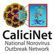 identify new strains and potentially link outbreaks Norovirus Sentinel Testing and Tracking (NoroSTAT) Enhanced reporting through NORS and CaliciNet in five