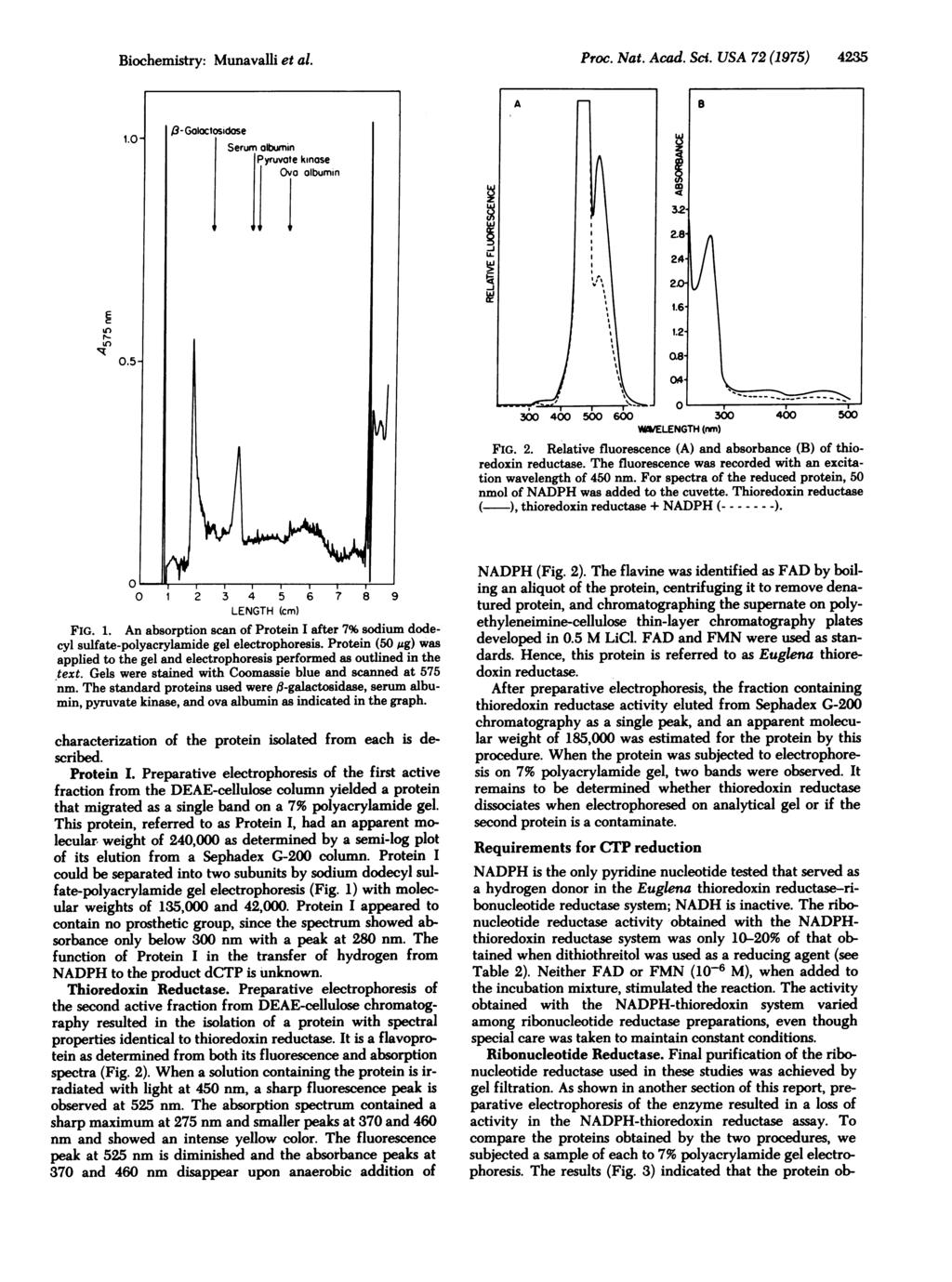 Biochemistry: Munavalli et al. Proc. Nat. Acad. Scs. USA 72 (1975) 4235 1. Oni -Goloctosidose Serum albumin Pyruvote kinose j (a albumin E c ur 0. V5l WAVELENGTH (nm) FIG. 2.