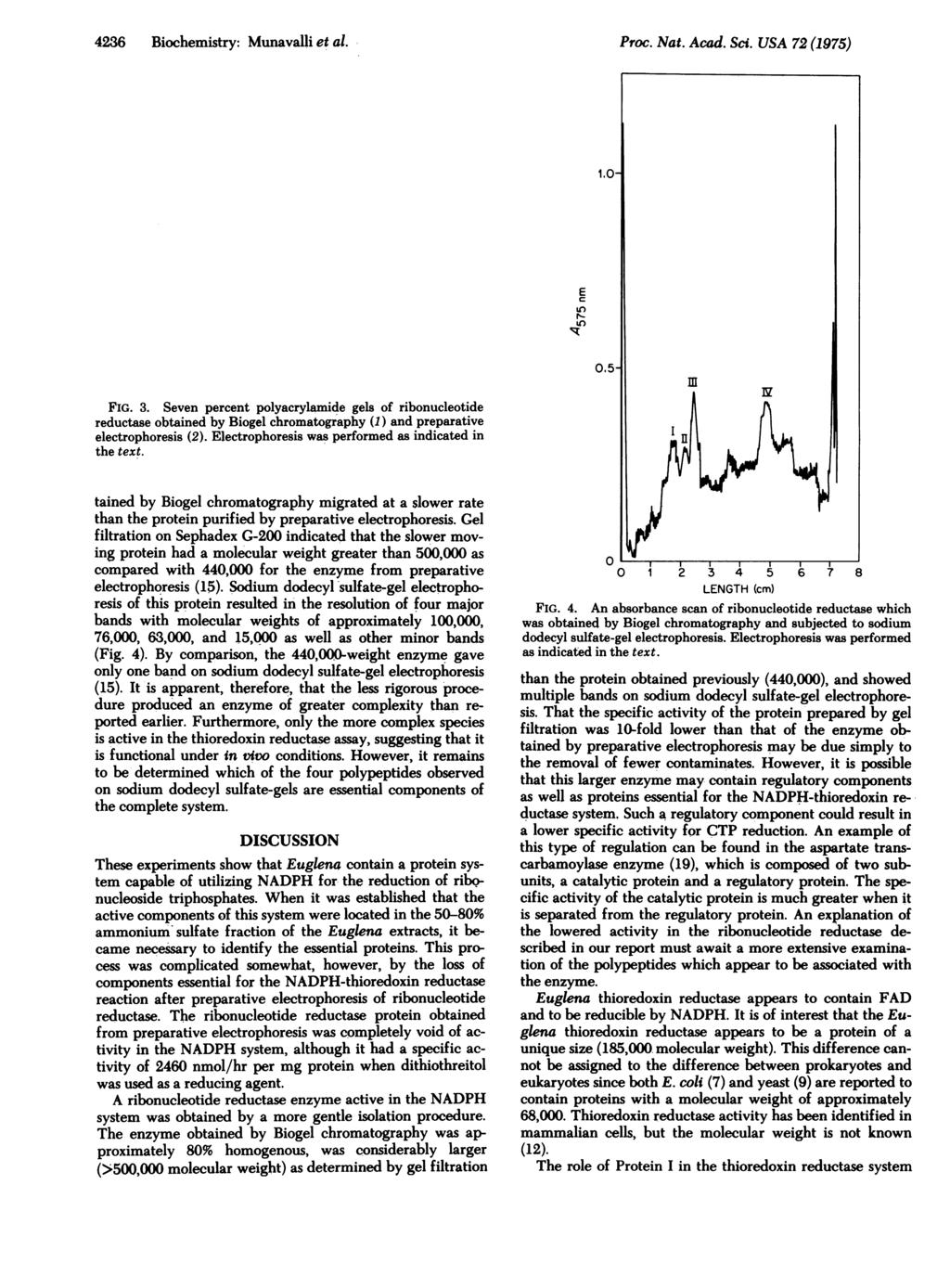 4236 Biochemistry: Munavalli et al. P Proc. Nat. Acad. Sci. USA 72 (1975) E U-) 1 2 FIG. 3.