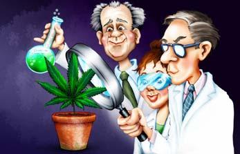 THE FUTURE OF CANNABIS RESEARCH Identification of