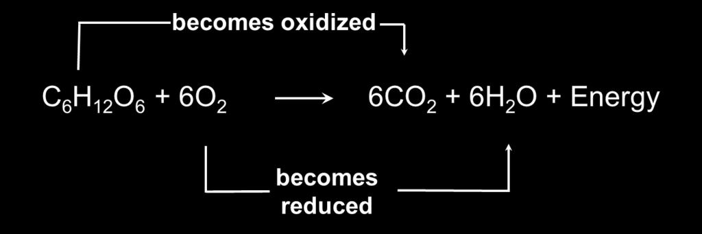 oxidized and oxygen is reduced -Reducing agent :