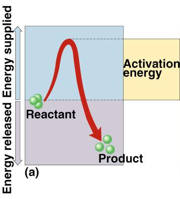 the reaction over an energy hill + + energy Got a match?