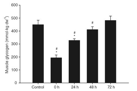 Glycogen Resynthesis is Slow After competitive soccer match