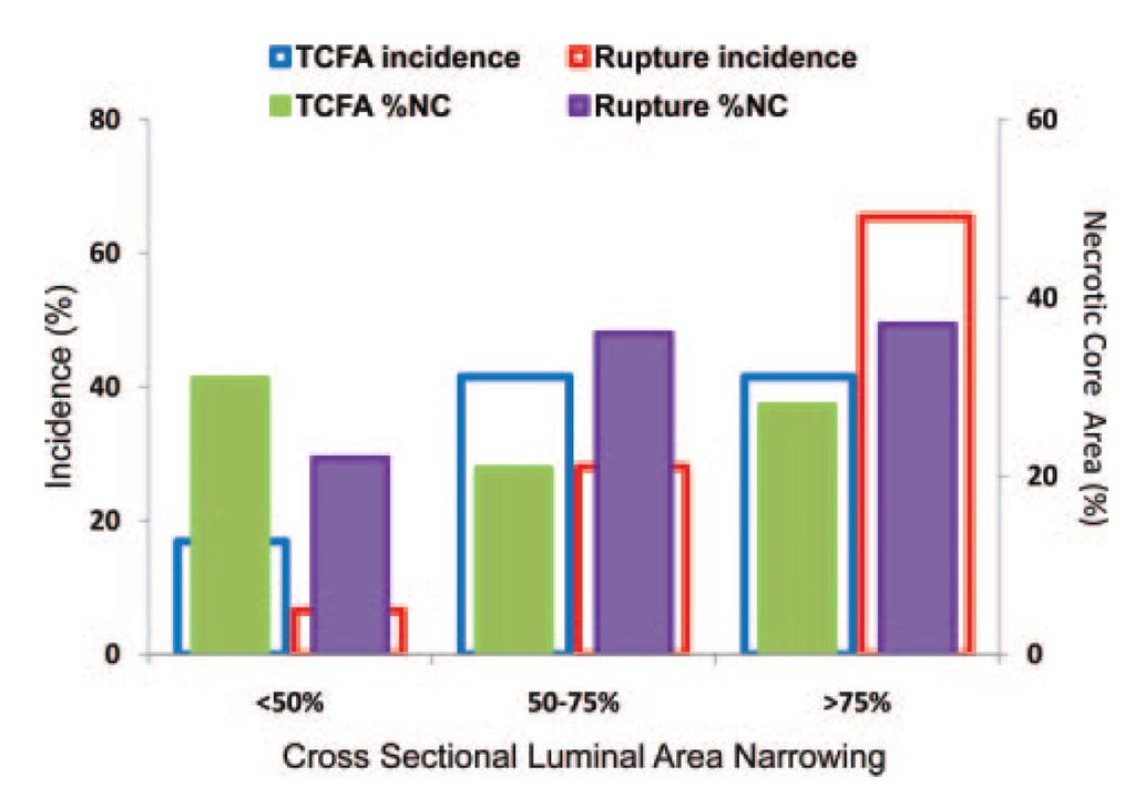 Incidence of TCFA and Plaque Rupture Stratified by Lesion