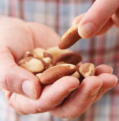 In considering the recommended amount of nuts to achieve both the heart and weight effects, the researchers considered both the totality of the evidence in the SLR in combination with the current