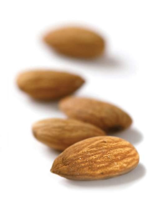 4 The Nuts Report 2015 INTRODUCTION This report is a summary of the latest evidence on nuts and the important role they play in cardiovascular health.