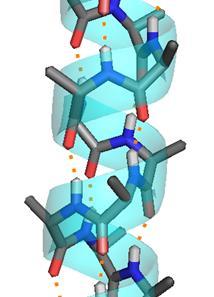 Secondary structure The peptide bond between two residues is a single bond, but it is said to have a semi double-bond character.