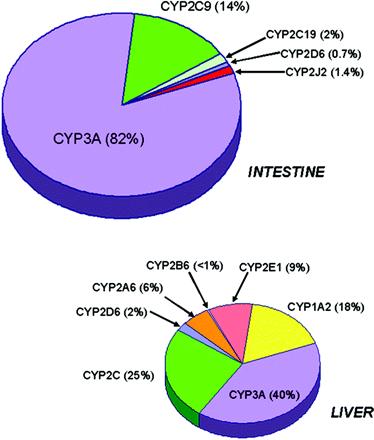 Resource to check for drug interactions Enzyme Inhibition www.drugs.com/drug_interacti ons.