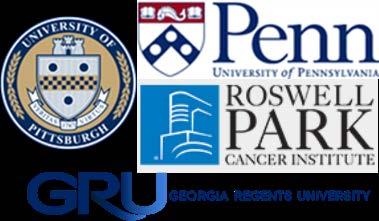 TIES Cancer Research Network Y2