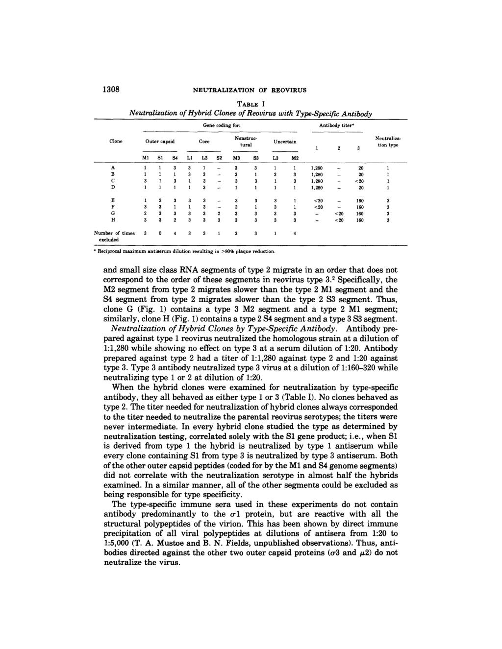 1308 NEUTRALIZATION OF REOVIRUS TABLE I Neutralization of Hybrid Clones of Reovirus with Type-Specific Antibody Gene coding for: Antibody titer* Nonstruc- Neutraliza- Clone Outer capsid Core