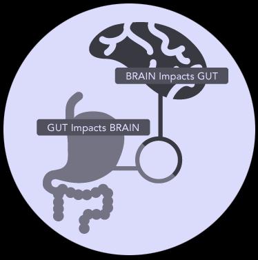 Bi-directionality of the GBA Gut Largest producer of
