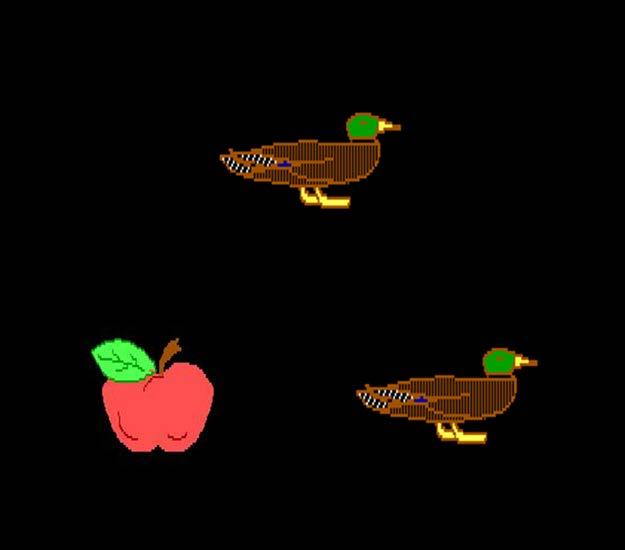 be provided for selecting the apple instead of the duck because it does not match the sample (Figure 2).