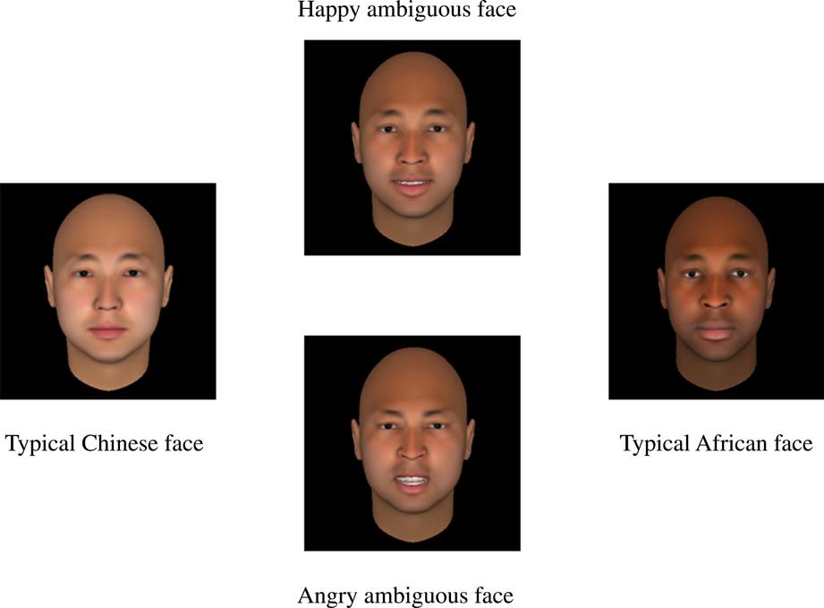 658 Wen S. Xiao et al. African faces (600 9 600 pixels; see Figure 1). All face images were frontal view and without hair to prevent children from using hair color and style to judge face race.