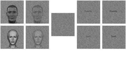 WILD AND BUSEY servers while they viewed faces and words embedded in random pixel noise, and some trials contained only the noise as an ambiguous stimulus.