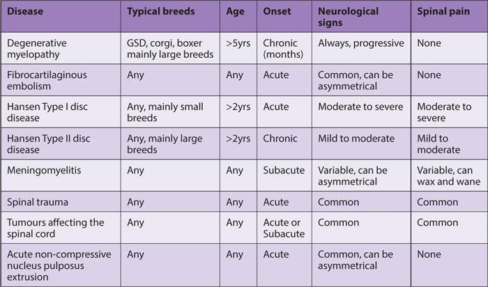 Table 4. The common diseases affecting the canine thoracolumbar spine (T3 to L3 spinal segments).