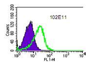 Flow cytometry Freshly isolated human monocytes were cultured six days in the