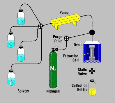 Sample Preparation & Extraction