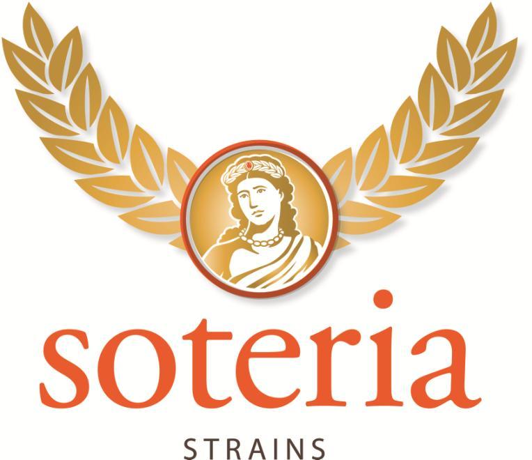 Soteria Strains Safe Patient Handling and Mobility Program Guide Section 4 Special Considerations Section 4.