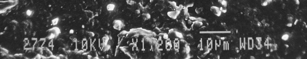 The SEM photograph also revealed the spherical shape and smooth surface of the solid lipid nanoparticles in Fig.3.