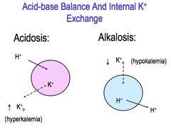 and out of cells in response to ph Leads to corresponding potassium shifts in the opposite direction to maintain cation balance Shifts may cause changes in ECF potassium levels Major intracellular