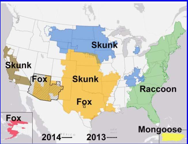 Rabies Reservoirs, US 2014