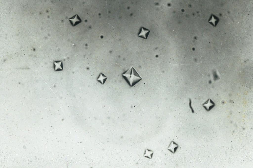 Calcium oxalate crystals are usually found in acidic urine. They may occur as either bihydrated or monohydrated calcium oxalate.
