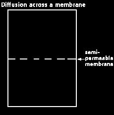 Osmosis Diffusion of water across a membrane Moves from HIGH water potential (low