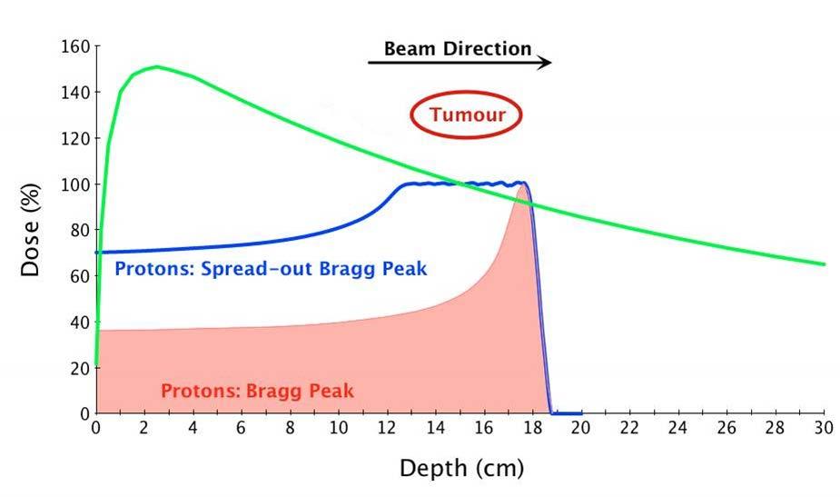 Introduction: the icon of hadrontherapy Position of the Bragg peak depends on beam energy 200 (400) MeV/u protons (carbon ions) are needed to reach 30 cm of depth