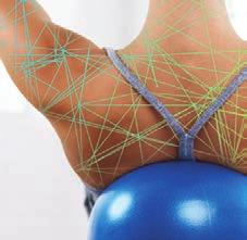 Foundation Course The Merrithew Fascial Movement Foundation Course, Level One is intended for those