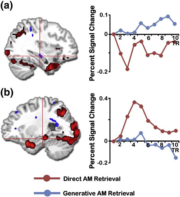 D.R. Addis et al. / NeuroImage 59 (2012) 2908 2922 2919 Fig. 7. Differential hippocampal activity associated with direct and generative AM retrieval.