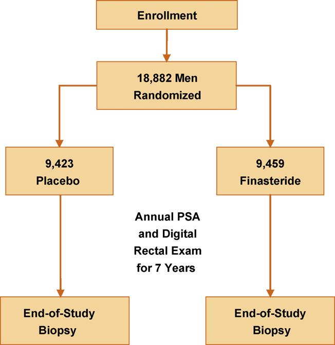 european urology 51 (2007) 27 33 29 Fig. 1 Schema for the Prostate Cancer Prevention Trial. PSA = prostate-specific antigen.