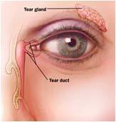 accompany irritation to the cornea (dryness), coughing, sneezing, taste or smell.