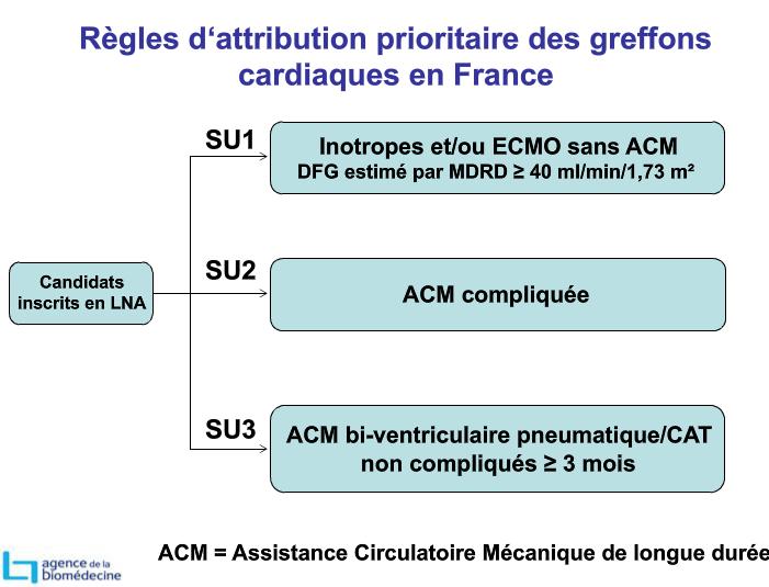Rules of priority allocation in France Inotropes and/or ECMO with no implantable MCS