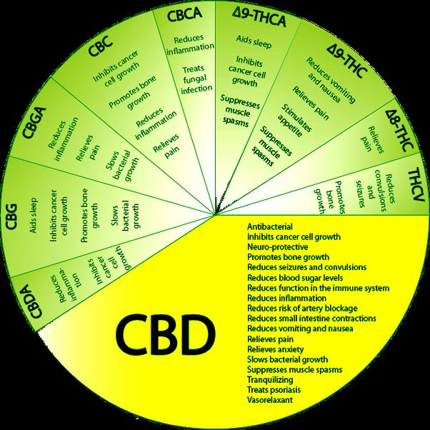 Cannabinoids/Cannabis/Cannabidiol/THcannabinol NON-SYNTHETIC Marijuana plants contain ~ 400 different chemicals ~70 cannabinoids [includes THC (psychoactive) and CBD] Medical