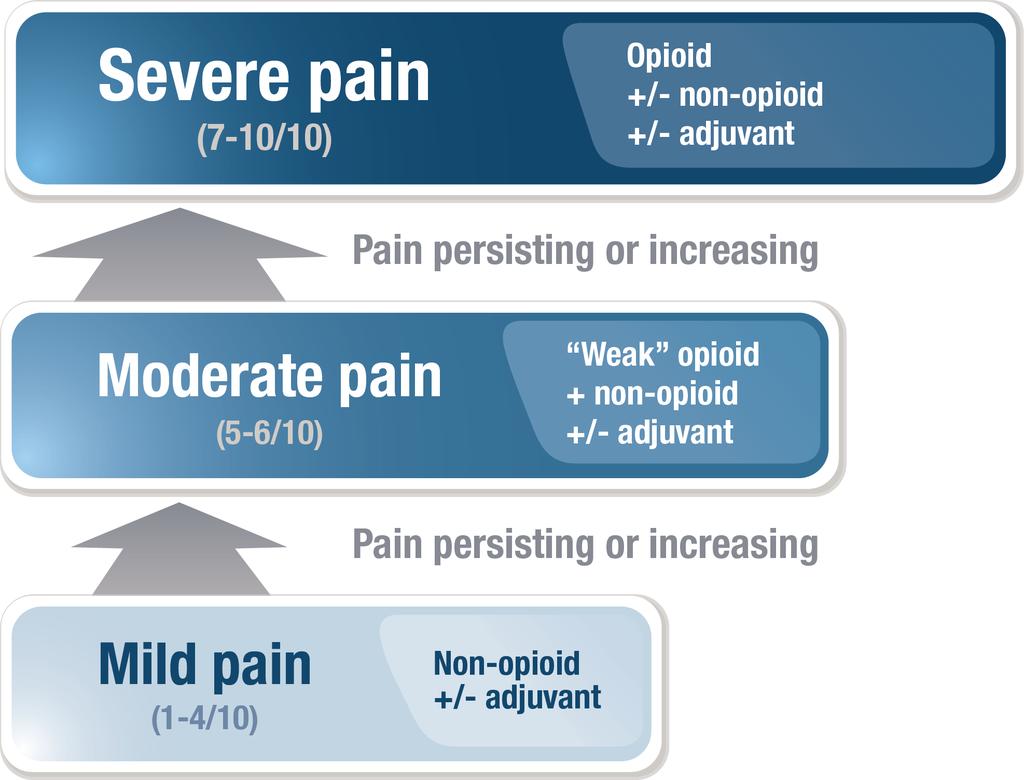 Baseline Pain Management: WHO Pain Relief Ladder 13