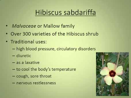 Hibiscus sabdariffa Hibiscus is part of the Mallow or Malvaceae family. There are more than 300 varieties of these shrubs. The flower comes in a variety of different colors.