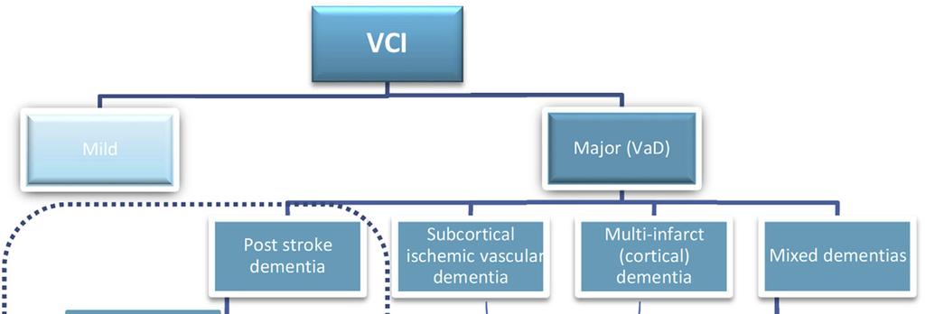 Vascular Cognitive Impairment subtypes Vascular impairment of cognition classification consensus study (VICCCS; Skroot, 2017) Proposed mechanisms