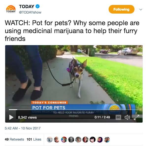 CBD and Pets CBD for your best friend is hitting the news. A growing number of people are turn to CBD to improve the health of their pets as a legal alternative.