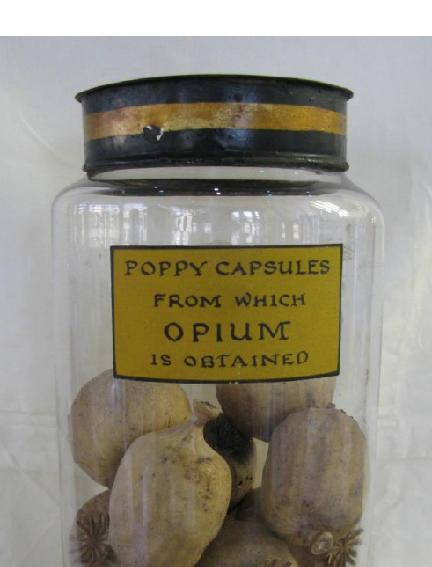 Short history of the opioids Papaver somniferum The sleep-bringing poppy Opium contains morphine and codeine Morpheus - greek