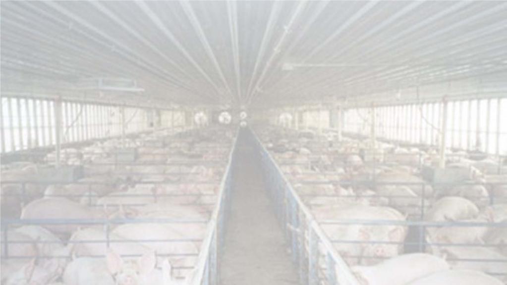 Current meat industry Beset by ecological,