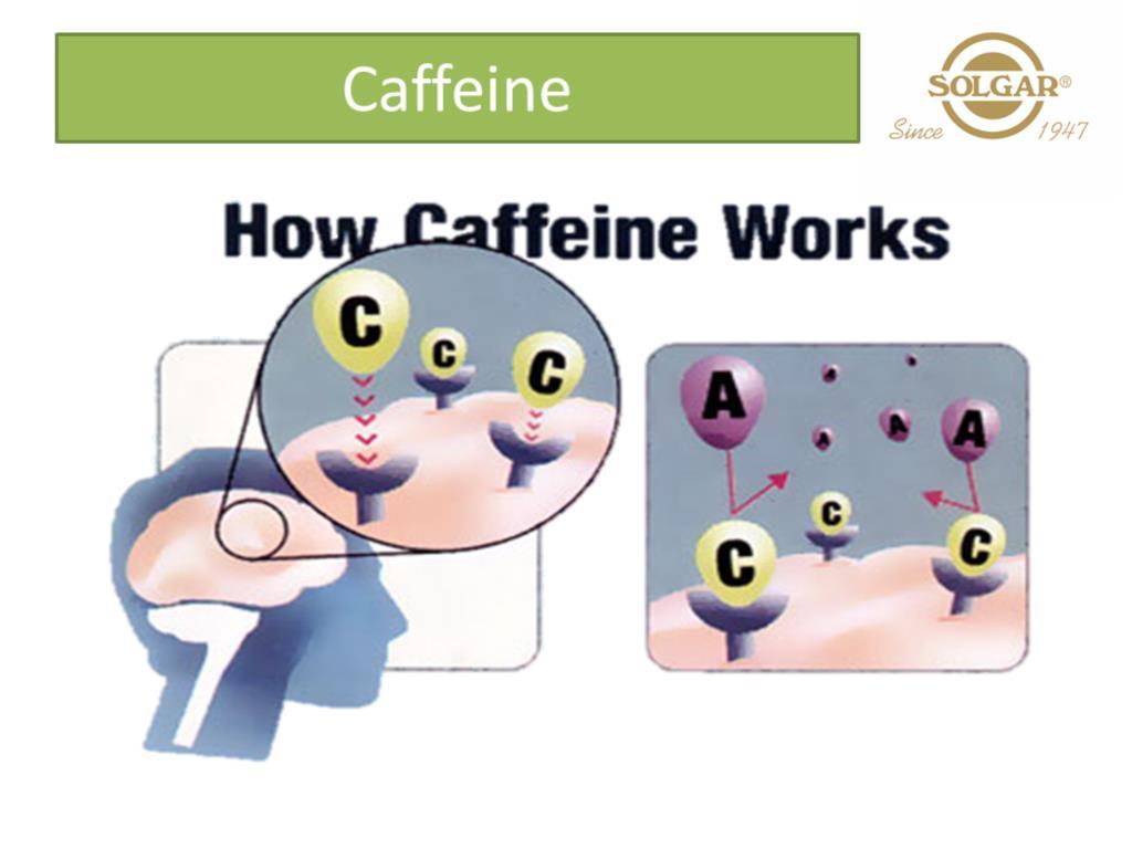 Caffeine is a CNS stimulant - it can cross the blood-brain barrier and once it is inside the brain it blocks the effects of adenosine, a neurotransmitter which promotes sleep.