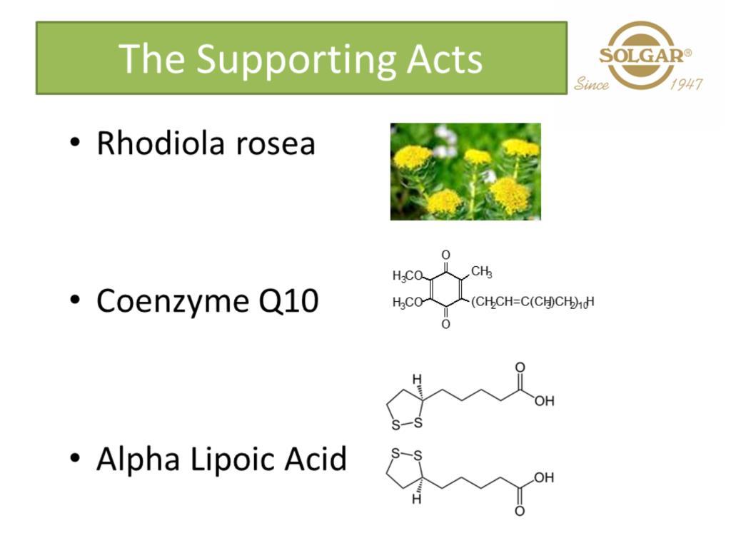 Rhodiola, CoQ10 and ALA play a fantastic supporting role
