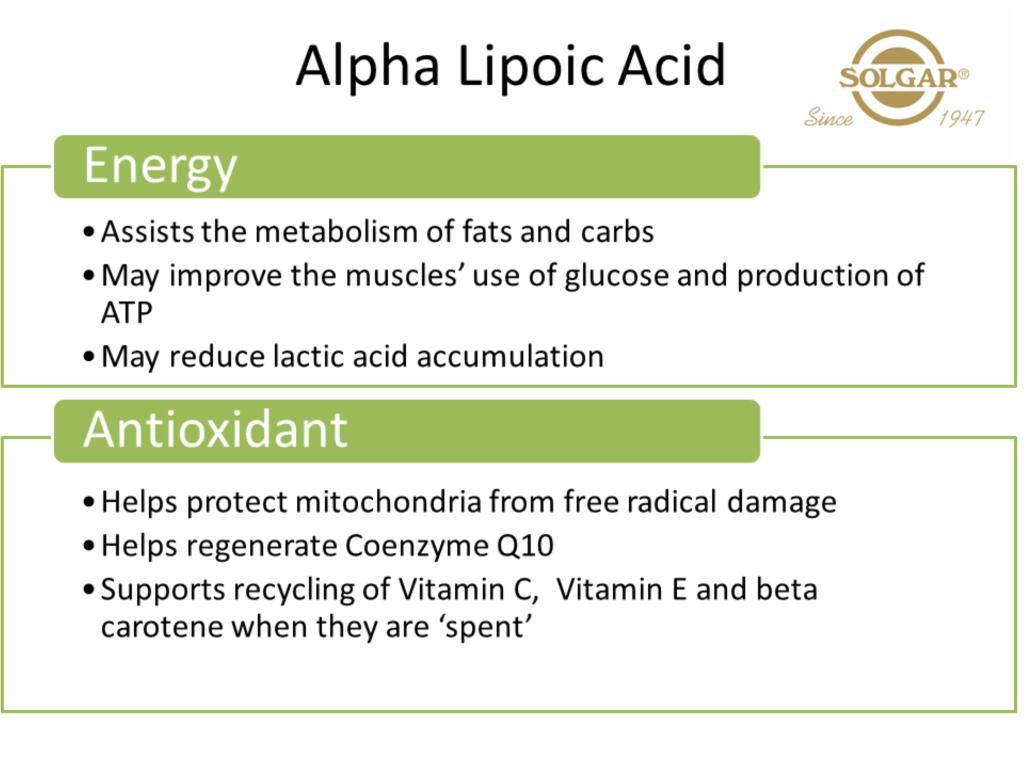 ALA plays a supportive role in energy production and antioxidant protection.