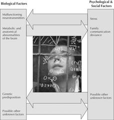 Biopsychosocial Model Pause and Reflect: Check & Review 1.